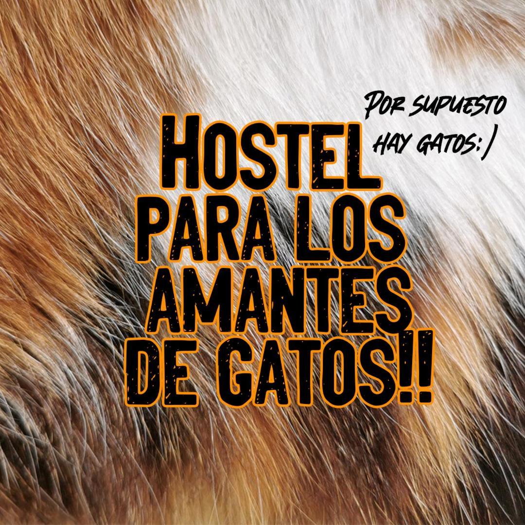 Posada De Los Gatos Bed and Breakfast Puerto Natales Buitenkant foto